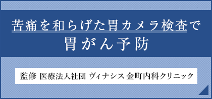 葛飾区金町で苦しくない胃カメラ 胃 経鼻内視鏡 検査なら医療法人社団ヴィナシス金町内科クリニックへ